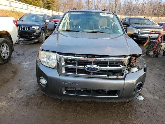 2009 Ford Escape XLT