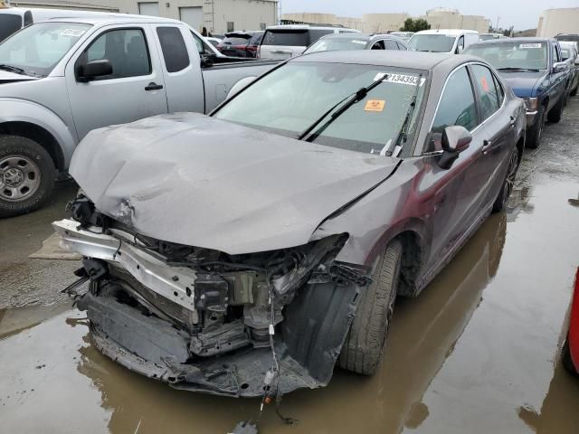 2019 Toyota Camry L