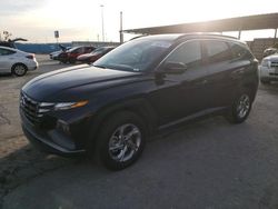 Salvage cars for sale at Anthony, TX auction: 2023 Hyundai Tucson SEL