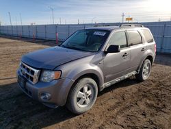 2008 Ford Escape XLT en venta en Greenwood, NE