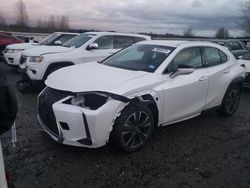 Lexus UX 250H salvage cars for sale: 2020 Lexus UX 250H