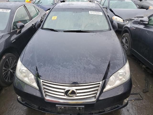 2010 Lexus ES 350