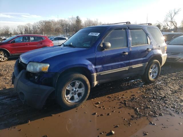 2006 Ford Escape XLT