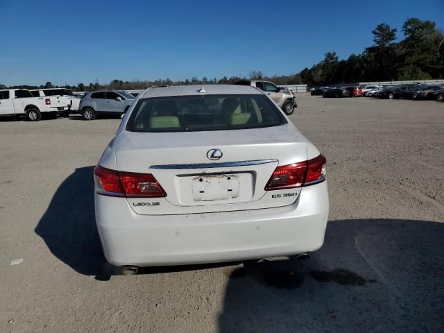 2010 Lexus ES 350