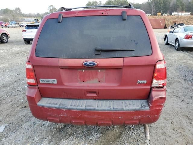 2011 Ford Escape XLT