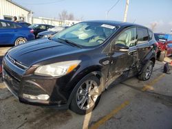 Salvage cars for sale at Pekin, IL auction: 2013 Ford Escape SEL