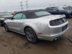 2013 Ford Mustang