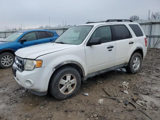 2011 Ford Escape XLT