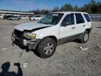 2006 Ford Escape XLT