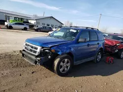 Ford salvage cars for sale: 2011 Ford Escape XLT