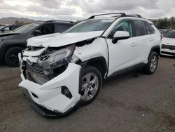 Salvage cars for sale at Las Vegas, NV auction: 2019 Toyota Rav4 XLE