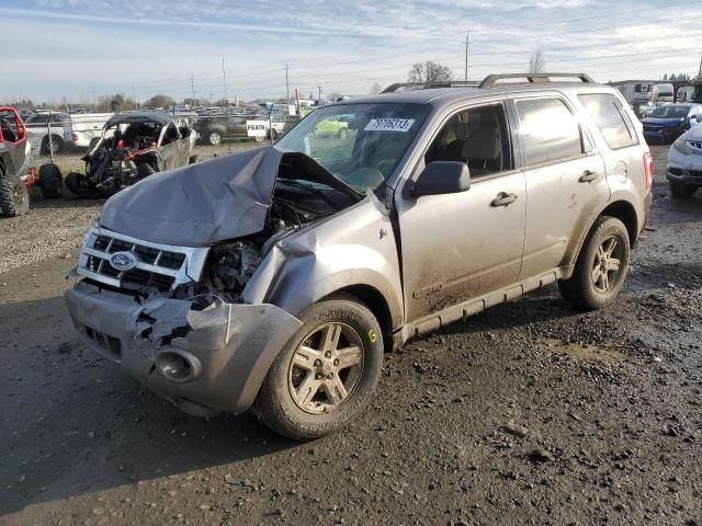 2008 Ford Escape HEV