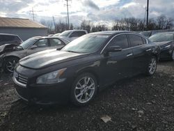 Salvage cars for sale at Columbus, OH auction: 2012 Nissan Maxima S