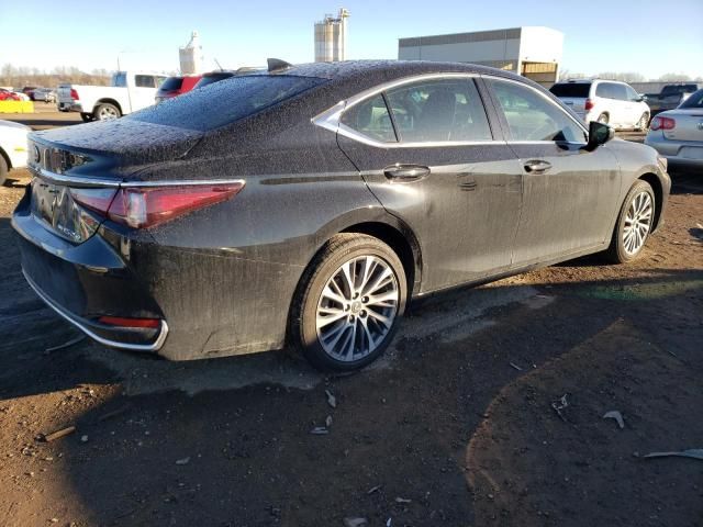 2021 Lexus ES 250 Base