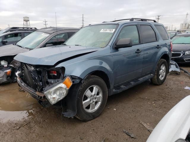 2010 Ford Escape XLT