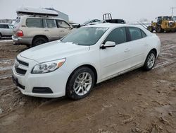 Salvage cars for sale from Copart Colorado Springs, CO: 2013 Chevrolet Malibu 1LT