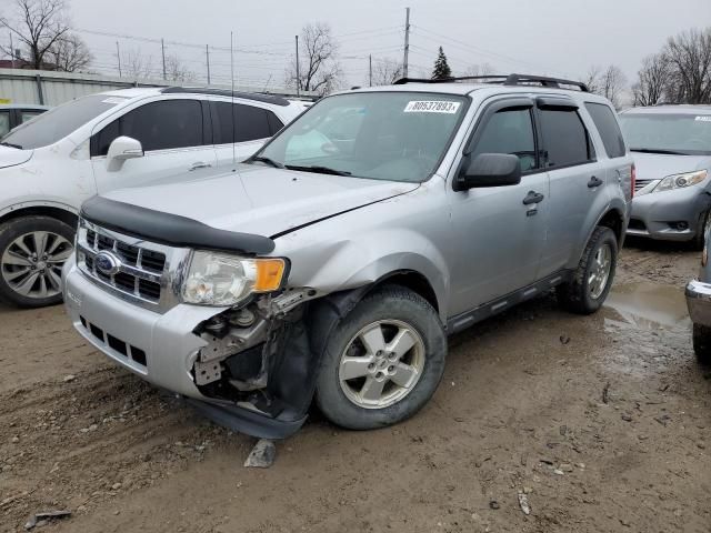 2012 Ford Escape XLT