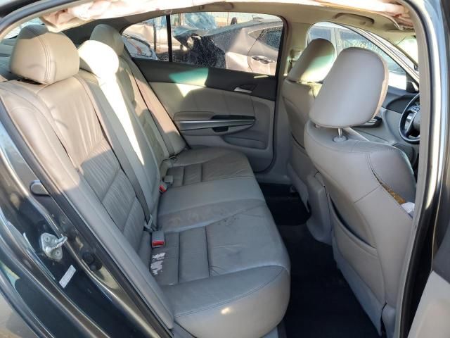 2009 Honda Accord EXL