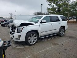 Cadillac Escalade salvage cars for sale: 2017 Cadillac Escalade Luxury