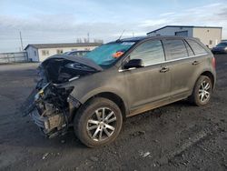 Salvage cars for sale at Airway Heights, WA auction: 2013 Ford Edge Limited