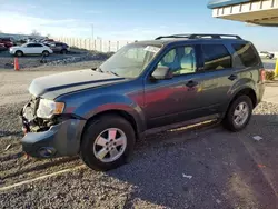 Salvage cars for sale from Copart Earlington, KY: 2012 Ford Escape XLT