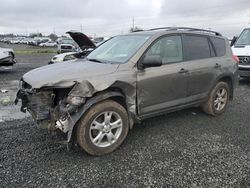 Salvage cars for sale at Eugene, OR auction: 2010 Toyota Rav4
