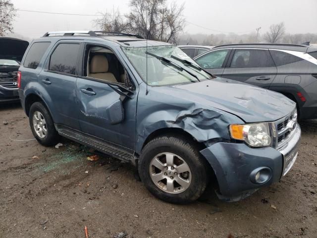 2011 Ford Escape Limited