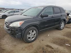 Honda CRV salvage cars for sale: 2010 Honda CR-V EXL