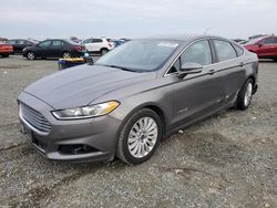 Salvage cars for sale at Antelope, CA auction: 2013 Ford Fusion SE Hybrid