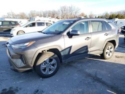 Toyota salvage cars for sale: 2023 Toyota Rav4 XLE