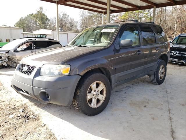 2006 Ford Escape XLT