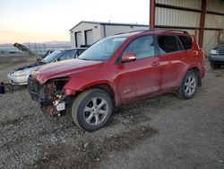 Toyota Rav4 Limited salvage cars for sale: 2010 Toyota Rav4 Limited