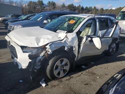 Toyota Rav4 XLE salvage cars for sale: 2019 Toyota Rav4 XLE