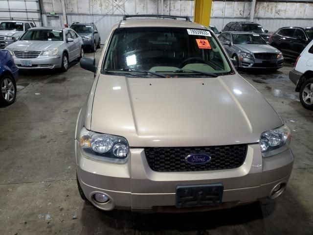 2007 Ford Escape XLT