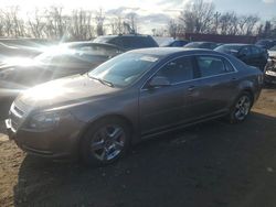 Salvage cars for sale from Copart Baltimore, MD: 2010 Chevrolet Malibu 1LT