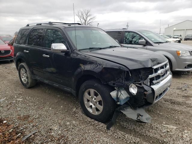 2012 Ford Escape Limited