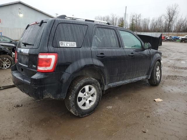 2010 Ford Escape Limited