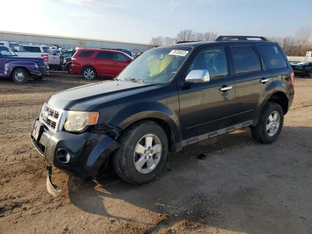 2009 Ford Escape XLT