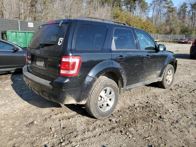 2008 Ford Escape Limited