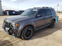 Salvage cars for sale at Amarillo, TX auction: 2011 Ford Escape XLT