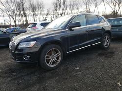 Salvage cars for sale from Copart New Britain, CT: 2013 Audi Q5 Premium Plus