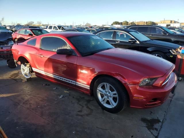 2013 Ford Mustang