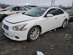 Nissan salvage cars for sale: 2009 Nissan Maxima S