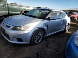 Salvage cars for sale at Brighton, CO auction: 2011 Scion TC