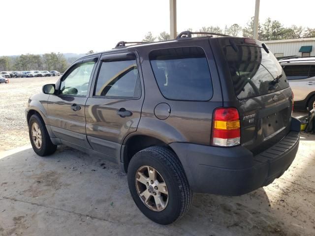 2006 Ford Escape XLT