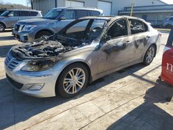 Hyundai Vehiculos salvage en venta: 2013 Hyundai Genesis 3.8L