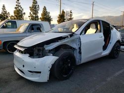 Salvage cars for sale from Copart Rancho Cucamonga, CA: 2022 Tesla Model Y