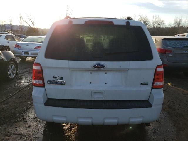 2011 Ford Escape XLT