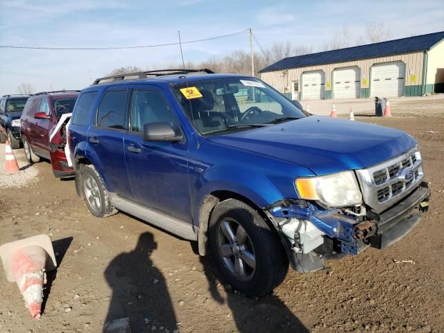 2011 Ford Escape XLT