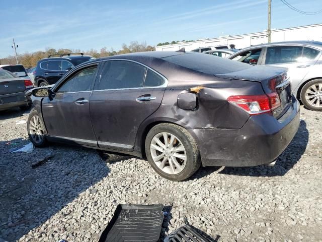 2010 Lexus ES 350